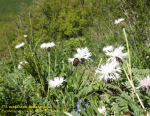 DSCF1038