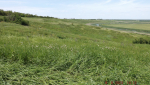 DSCF0168