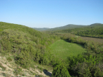 IMG_0180