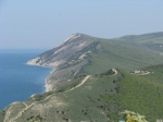 IMG_0276 (2)