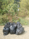 photo1695038986 (1)