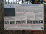 4 IMG-20231208-WA0017_готовый близко_4