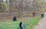 IMG-20231118-WA0029
