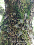 фото 6