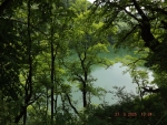 DSCF0455