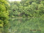 DSCF0478