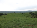 DSCF0525 (2)