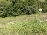 DSCF0578