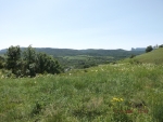 DSCF0644