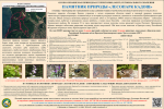 236-01 ПП Лесопарк Кадош