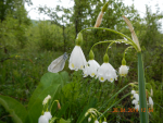 DSCN0705