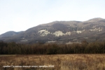 11 Шизе_2008_0007