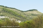 5 Шизе_2009_3836