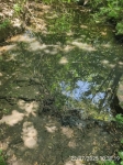 IMG_20250722_103019