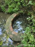 IMG_20250722_103028