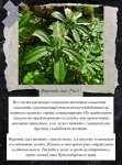 WhatsApp Image 2025-07-30 at 16.50.03 (2)