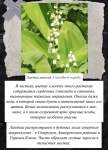 WhatsApp Image 2025-07-30 at 16.50.03 (3)