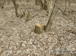 IMG_20240131_172533_058
