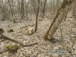 IMG_20240131_172533_292