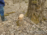 IMG_20240131_172533_485