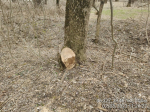IMG_20240131_172533_544