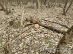 IMG_20240131_172533_764