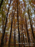 фото4