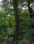 IMG_20231004_105245