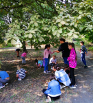 IMG_20231004_110240