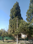 фото 3