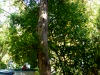 P1050573