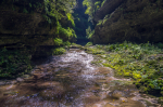_IGP8019-0