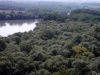 DSCF1918