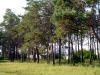 P1000204