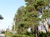 P1000213