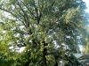 P1020552