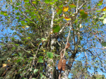 Фото 3 (2)