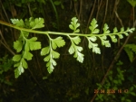 DSCN0729
