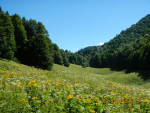 DSCN3562