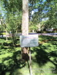 IMG_20240508_154635_DRO