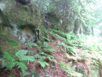 Фото 2 (2)