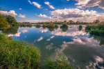 _DSC1648-0