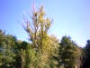 P1050807