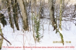 1 погибшие + вторичные кроны_2927