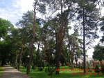 фото 5 (2)