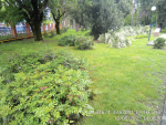 фото 7 (2)