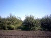 P1050761