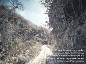 23 февраля копия 2