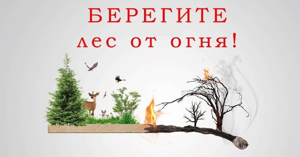 Берегите лес от огня