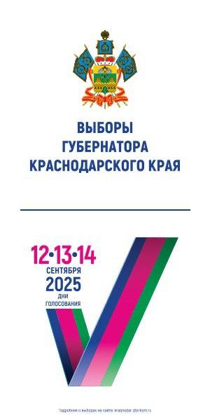 выборы